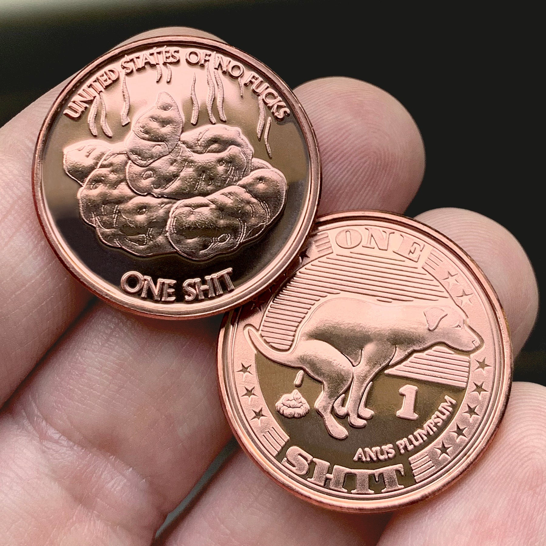 Dog Shit Coin 5-Pack Lucky Gold Coin