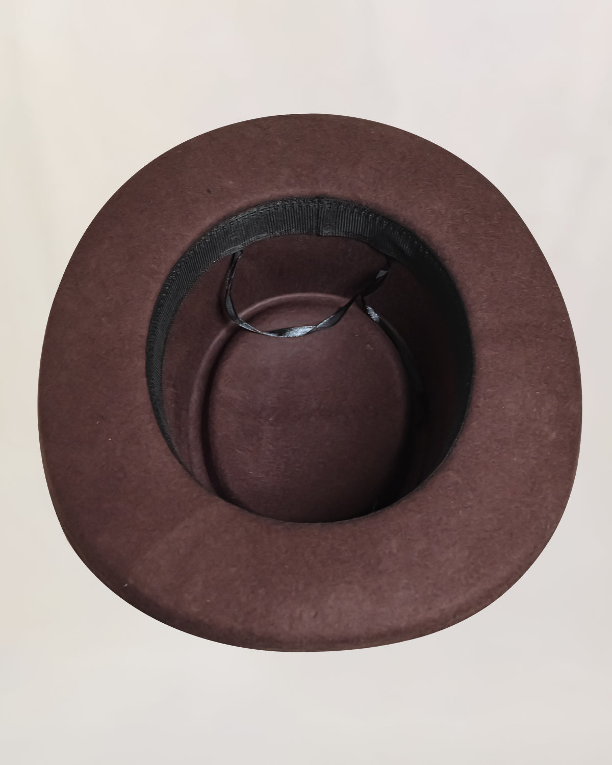 Ronnie Van Zant Hat