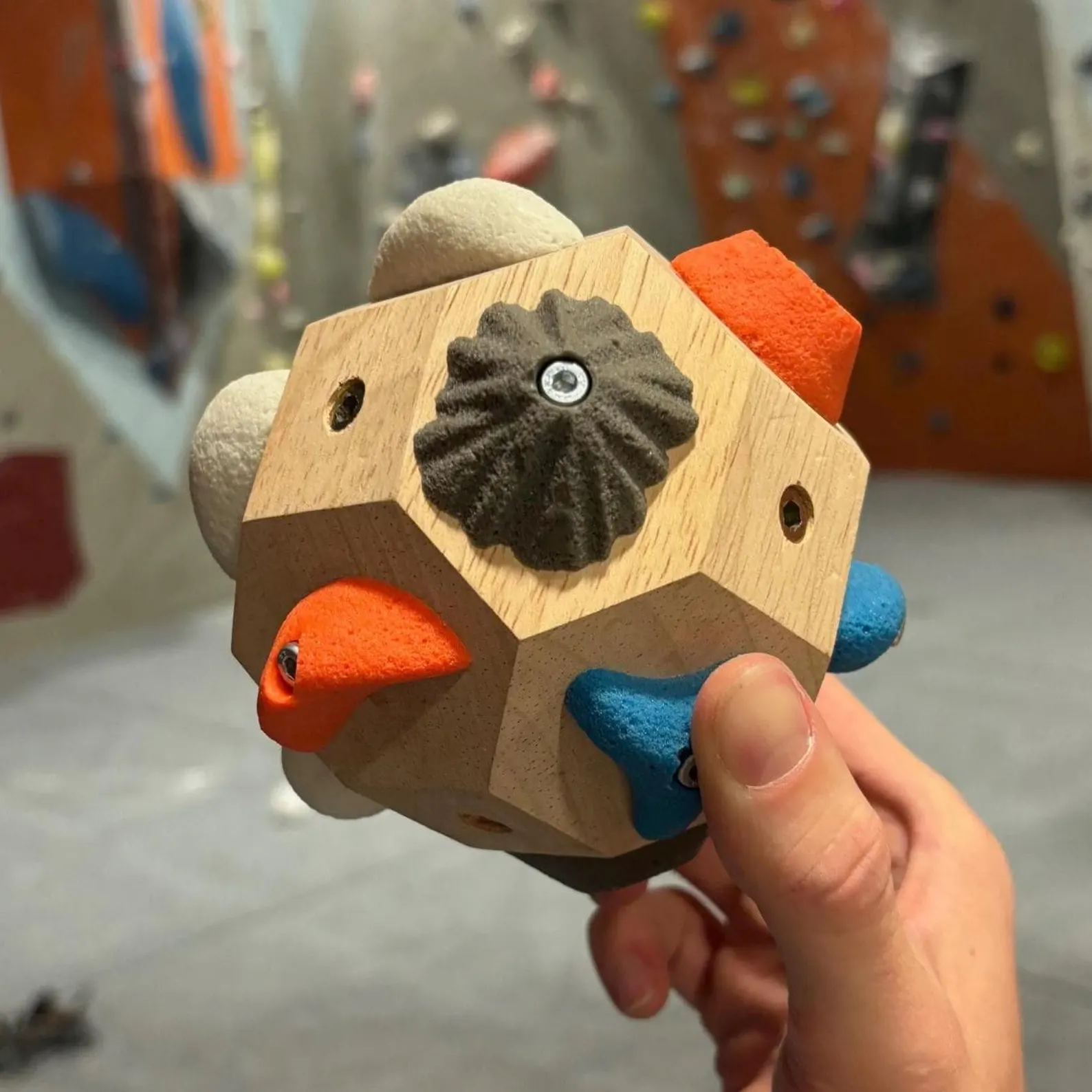 Boulder Block Rock Climbers Gift for Mountain Climbing Present