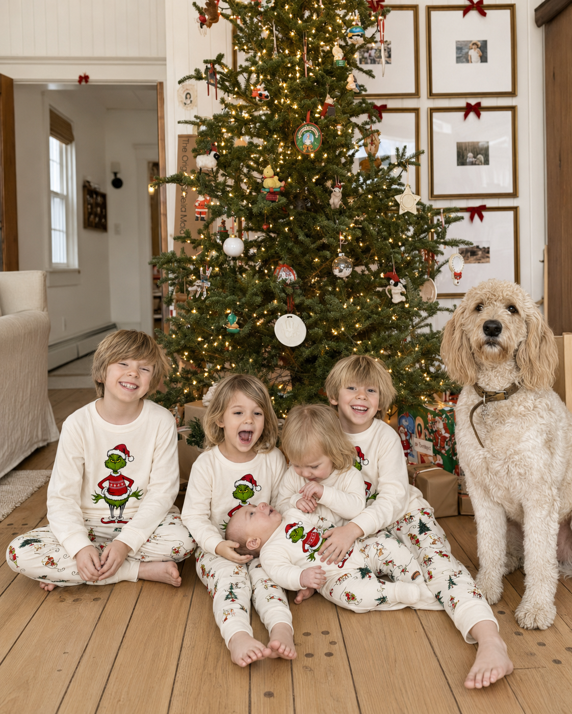 Snow Whisper-Grinch Family Christmas Pajamas