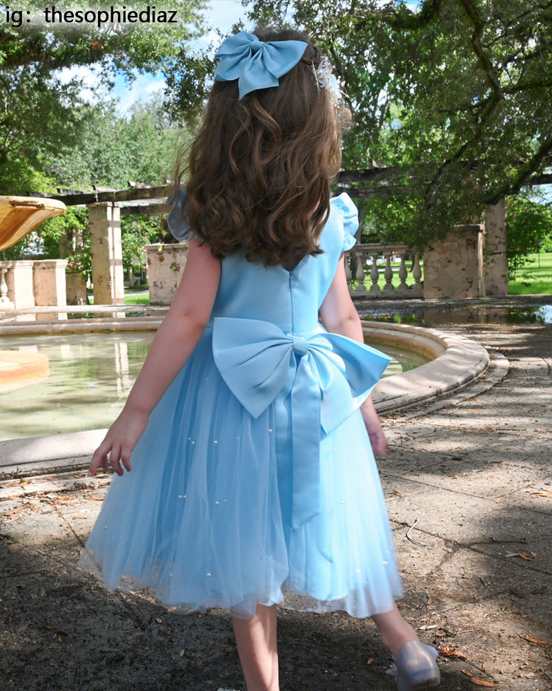Fairy Tale-Flower Girl Dress