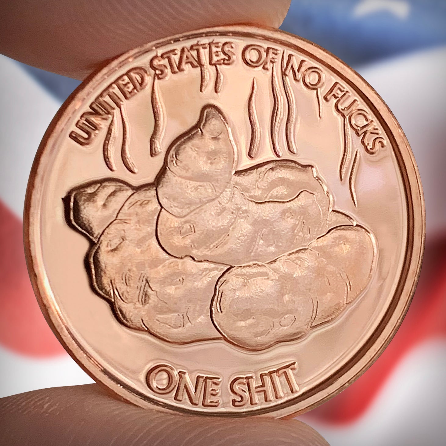 Dog Shit Coin 5-Pack Lucky Gold Coin