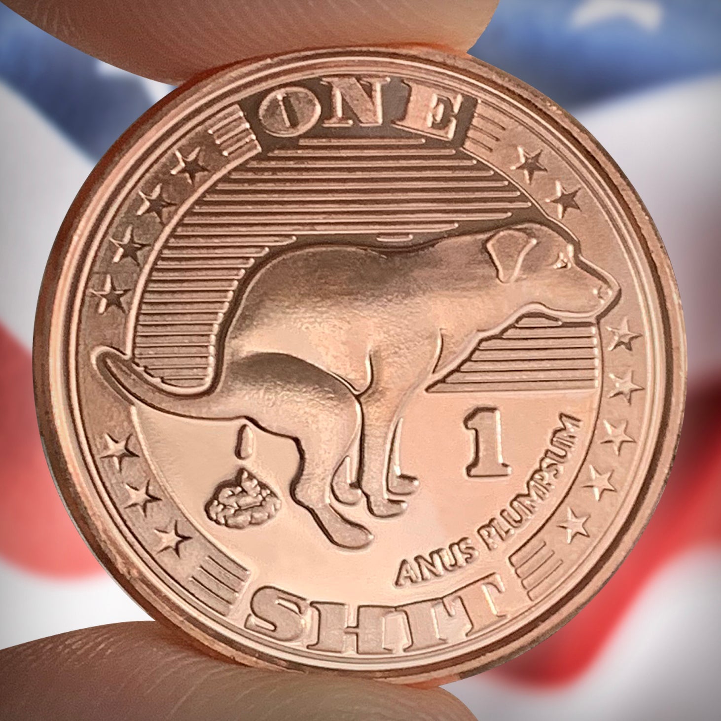 Dog Shit Coin 5-Pack Lucky Gold Coin