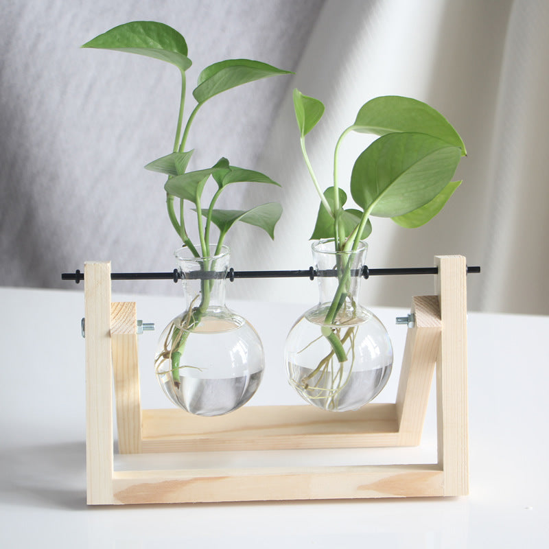 Home Decor Hydroponic Glass Vase| With Wooden Frame