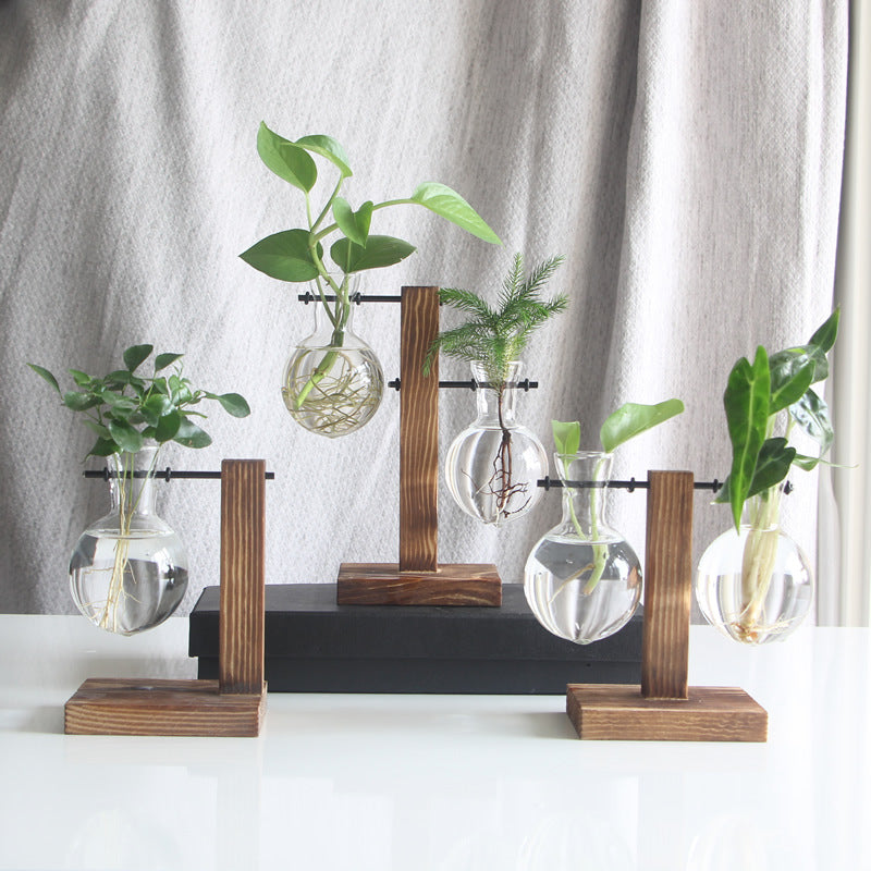Air Glass Hydroponics Vase｜With Wooden Stand
