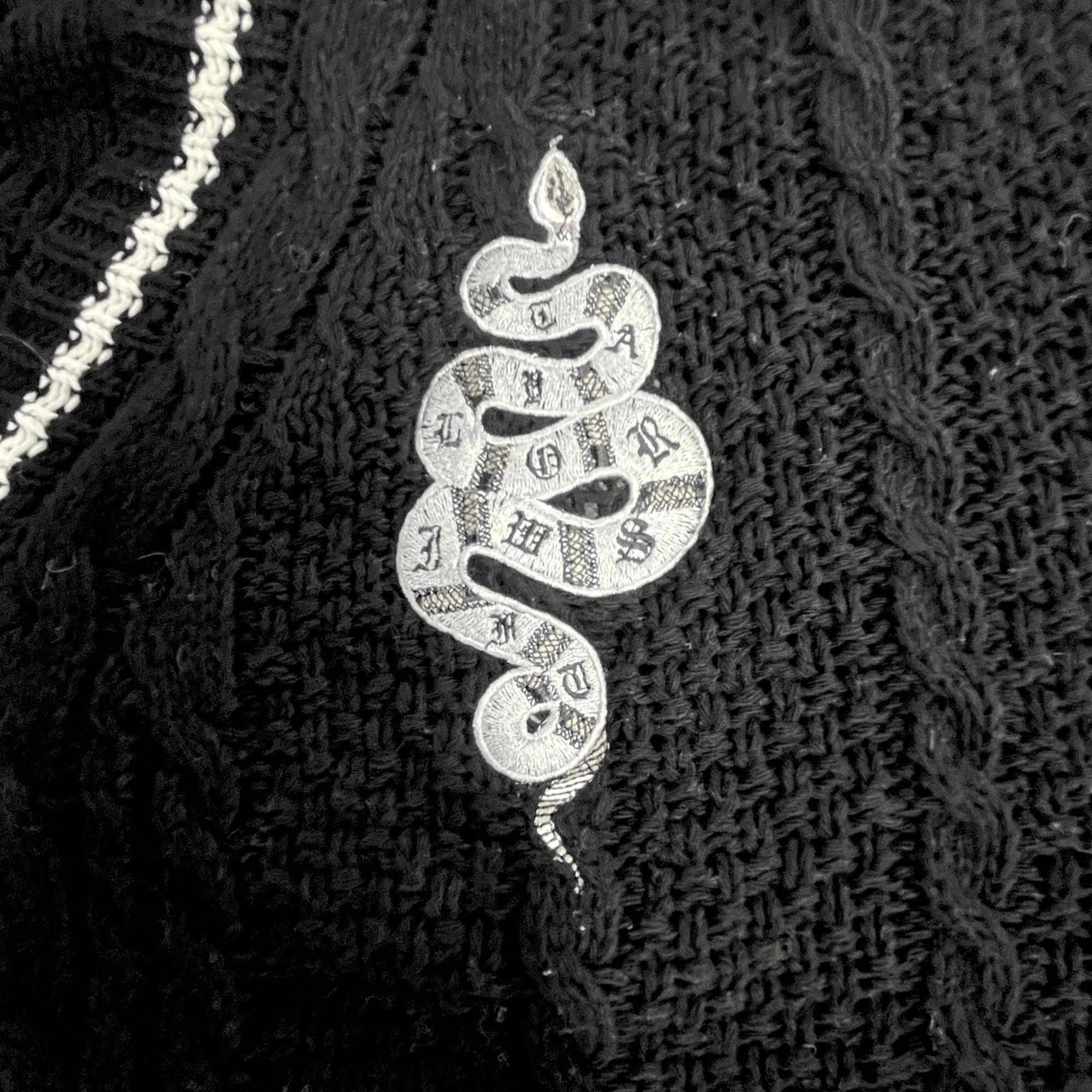 Black Reputation Snake Cardigan Embroidered, Eras Tour Outfit
