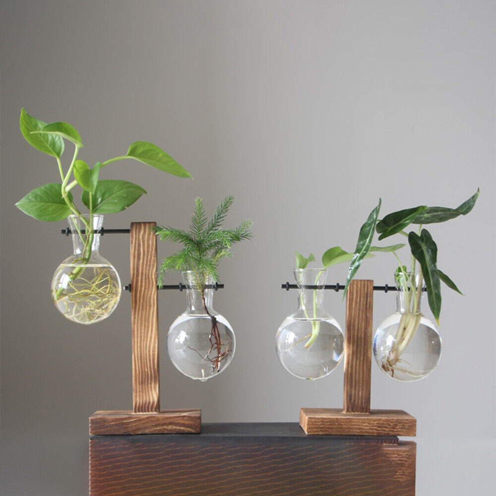 Air Glass Hydroponics Vase｜With Wooden Stand
