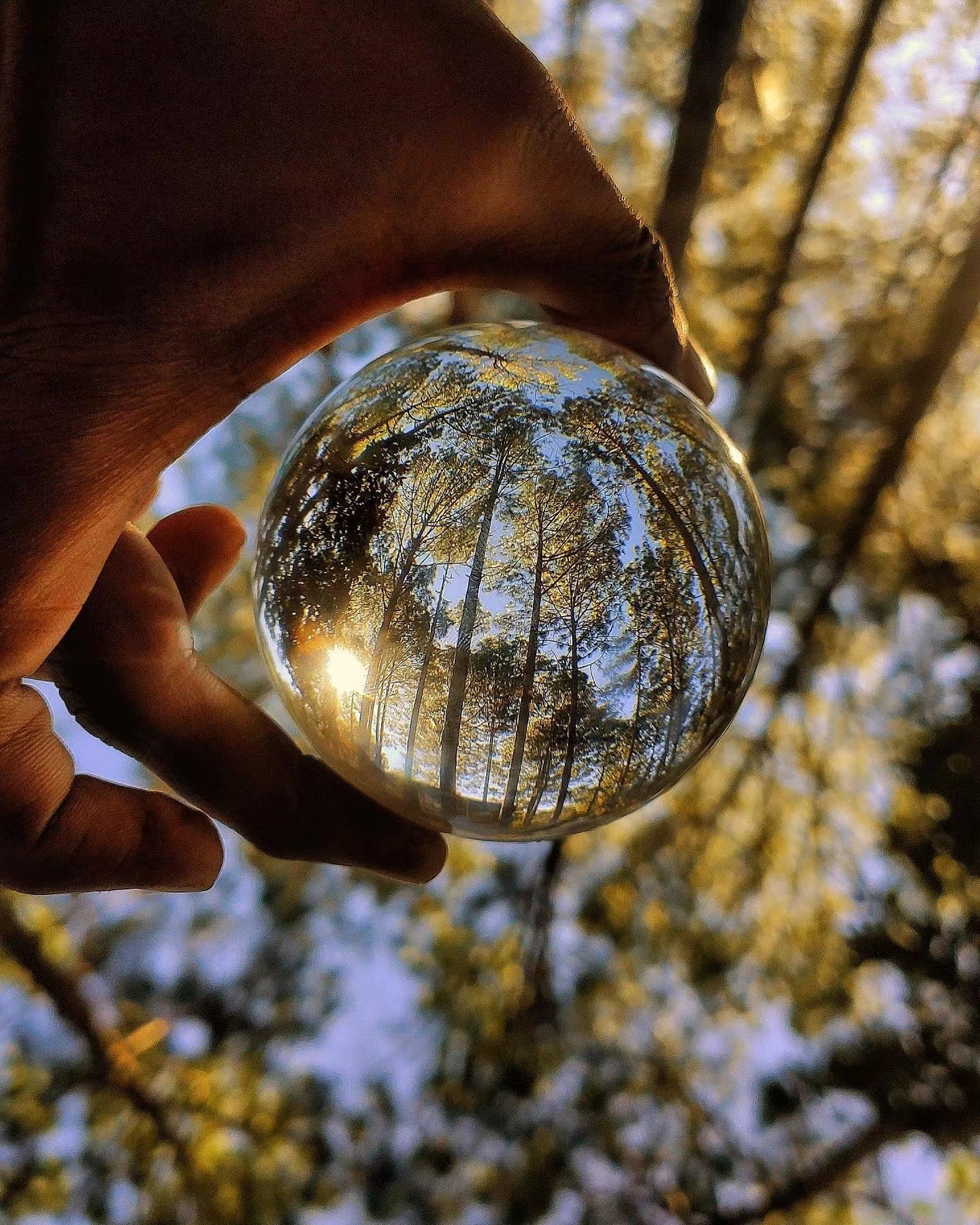 Original Lensball Pro